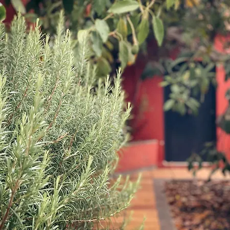 Holiday home Casa El Gamonal